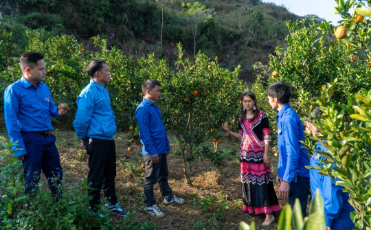 Mường Khương: Kinh tế 6 tháng đầu năm trên đà khởi sắc