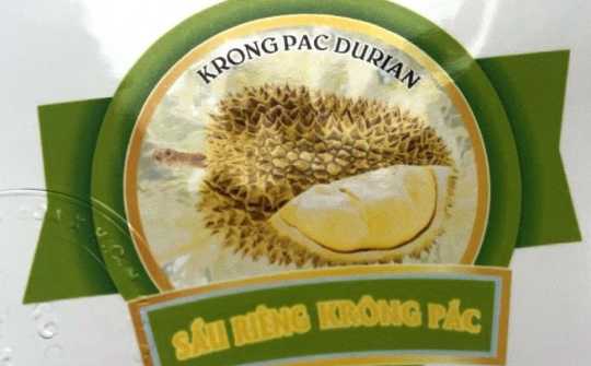 Sắp diễn ra Lễ hội Sầu riêng huyện Krông Pắc, Đắk Lắk