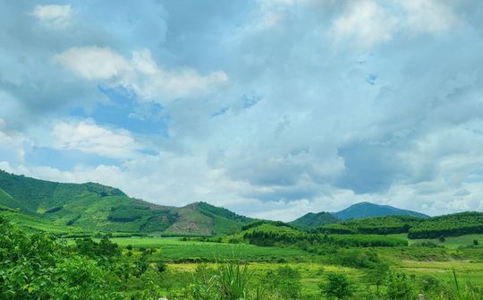 Khánh Hòa: Triển khai Chiến lược phát triển nông nghiệp, nông thôn bền vững