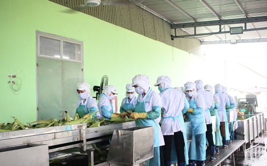 Sở LĐTB và XH Ninh Thuận - Tăng cường công tác quản lý, tập trung phát triển nguồn nhân lực