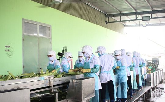 Sở LĐTB và XH Ninh Thuận - Tăng cường công tác quản lý, tập trung phát triển nguồn nhân lực