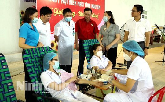 Ninh Bình tổ chức ngày hội hiến máu tình nguyện “Giọt hồng-Blouse trắng”