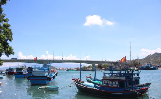 Ninh Thuận: Tốc độ GO và GRDP 6 tháng đầu năm tăng 3-4%, cao nhất duyên hải Nam Trung bộ