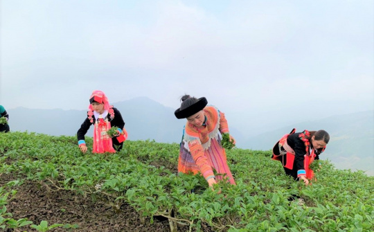 Mường Khương: Xây dựng nền nông nghiệp phát triển bền vững