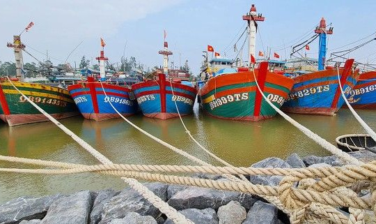 Hỗ trợ ngư dân ảnh hưởng do giá xăng, dầu