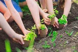 Quy định về xử phạt vi phạm hành chính trong bảo vệ môi trường