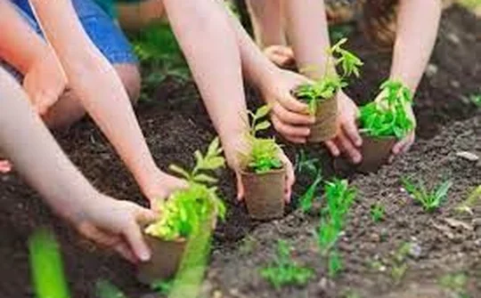 Quy định về xử phạt vi phạm hành chính trong bảo vệ môi trường