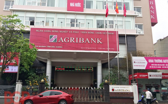Agribank phát mại 6 lô đất hơn 250 tỷ đồng tại đường Trần Cao Vân, Quận 1 TP. HCM
