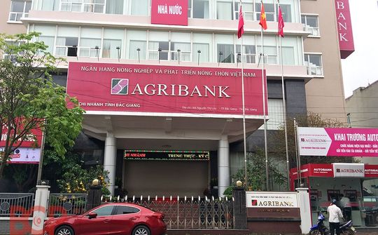 Agribank phát mại 6 lô đất hơn 250 tỷ đồng tại đường Trần Cao Vân, Quận 1 TP. HCM