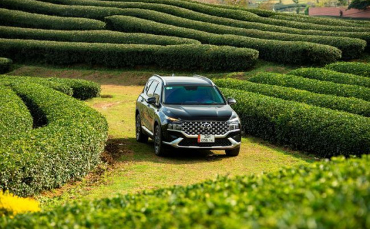 TC Group bán xe Huyndai 7 tháng 2022 tăng 10,8% so với cùng kỳ