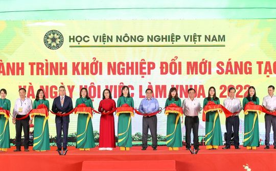 Khởi nghiệp cần có ý chí kiên cường, bản lĩnh vững vàng sẵn sàng đối mặt với thất bại *