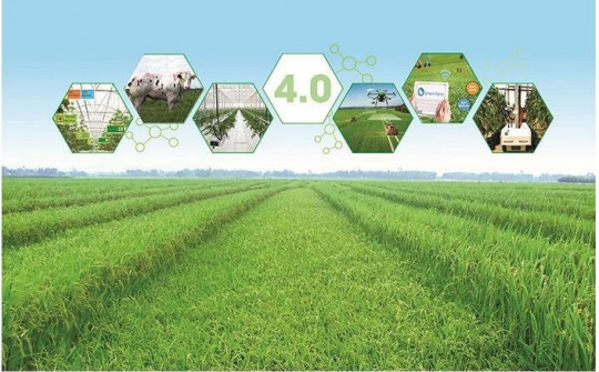 Đắk Lắk: Đưa hộ sản xuất nông nghiệp lên sàn thương mại điện tử, thúc đẩy phát triển kinh tế số