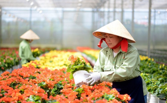 Hỗ trợ nông dân, phục hồi phát triển nông nghiệp, nông thôn bền vững