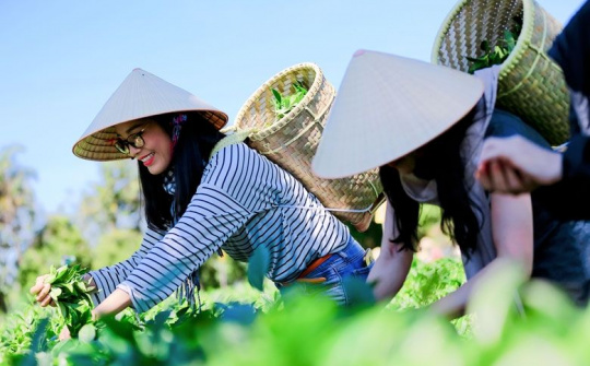 Phát triển du lịch nông thôn gắn với phát huy tiềm năng, lợi thế về nông nghiệp, làng nghề