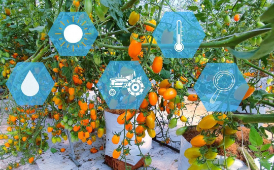 Đắk Lắk: Nhìn lại những chặng đường Chuyển đổi số