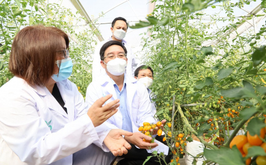 Tỉnh Đắk Lắk phát huy vai trò kinh tế tư nhân trong phát triển kinh tế - xã hội