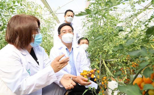 Tỉnh Đắk Lắk phát huy vai trò kinh tế tư nhân trong phát triển kinh tế - xã hội