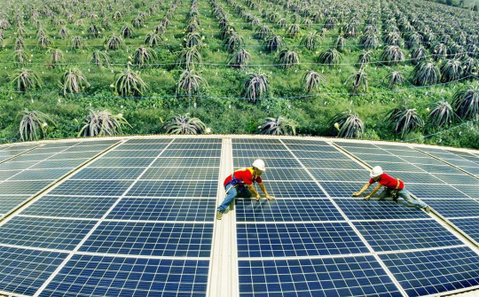 Việt Nam triển khai 6 quan điểm thực hiện cam kết tại COP 26