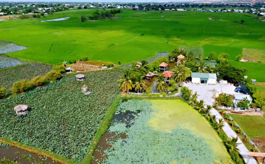 Ninh Phước - Đẩy mạnh phát triển kinh tế vùng đồng bào Chăm