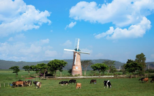 Cụm trang trại bò sữa Vinamilk Đà Lạt được vinh danh tại Giải thưởng Môi trường Việt Nam