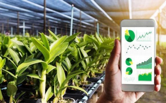 Hoàn thiện chính sách về vốn cho chuyển đổi nông nghiệp số, phát triển ngành nông nghiệp bền vững