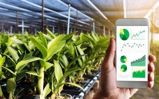Hoàn thiện chính sách về vốn cho chuyển đổi nông nghiệp số, phát triển ngành nông nghiệp bền vững