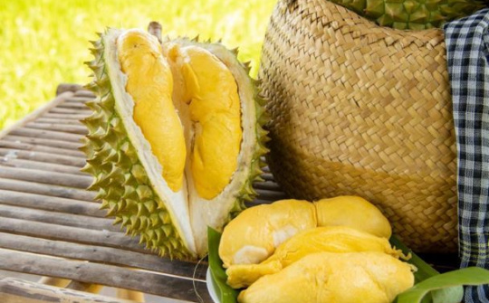 Xây dựng thương hiệu cho sầu riêng Việt