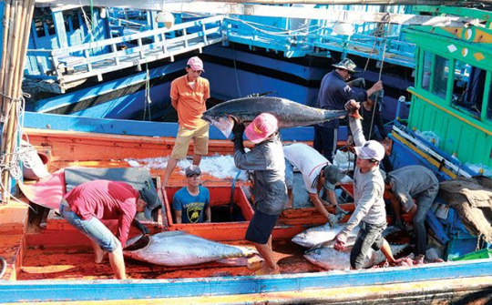 Chương trình quốc gia phát triển khai thác thủy sản hiệu quả, bền vững