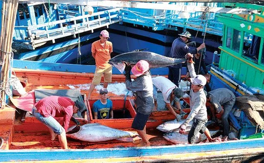 Chương trình quốc gia phát triển khai thác thủy sản hiệu quả, bền vững