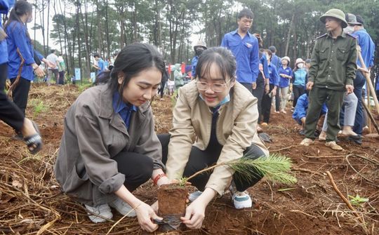 Tuổi trẻ Đắk Nông với nhiều hoạt động ý nghĩa hướng về Đại hội Đoàn TNCS Hồ Chí Minh