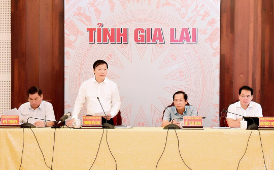 Gia Lai: Quyết tâm vượt khó hoàn thành nhiệm vụ kế hoạch năm 2022