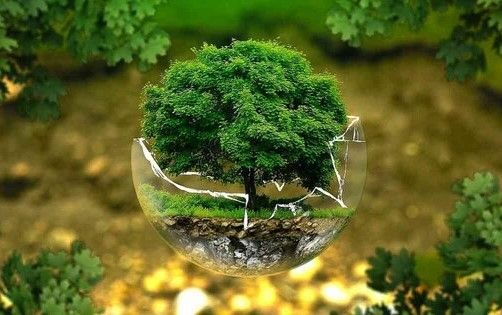 Việt Nam đạt nhiều kết quả nổi bật trong bảo vệ tầng ozone