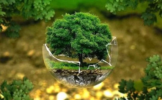 Việt Nam đạt nhiều kết quả nổi bật trong bảo vệ tầng ozone