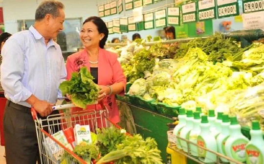 Sử dụng công cụ kinh tế nhằm thúc đẩy tiêu dùng bền vững ở Việt Nam hiện nay