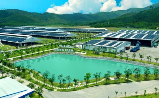 GĐĐH Tài chính Vinamilk: ESG không còn là lựa chọn, đó là cơ hội cho các doanh nghiệp