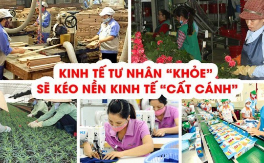 Thực trạng và giải pháp phát triển kinh tế tư nhân ở nước ta