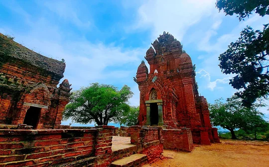 Ninh Thuận và Ấn Độ Tăng cường hợp tác song phương với 12 nội dung