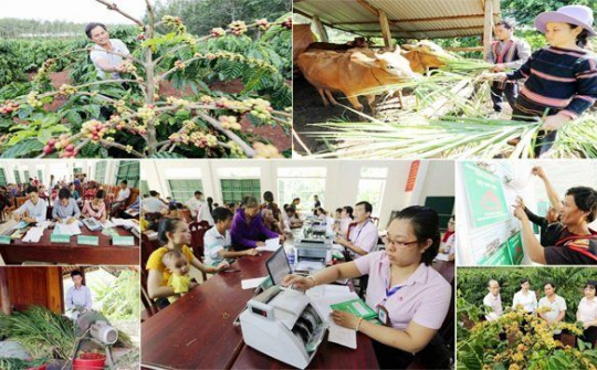 Một số giải pháp nâng cao chất lượng hoạch định chính sách