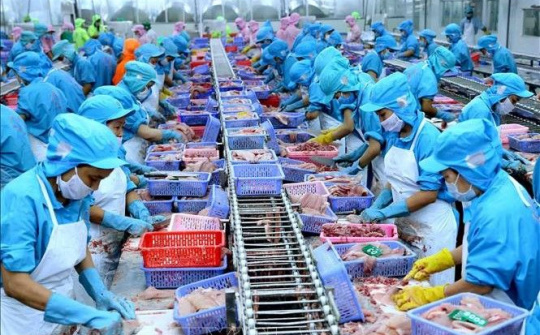 UNDP: Việt Nam có đủ khả năng khôi phục đà phát triển bị mất do COVID-19