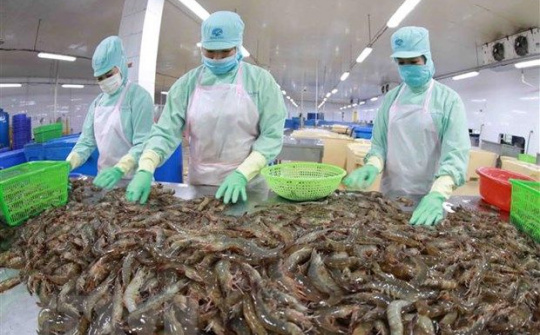 Dư luận quốc tế về tốc độ tăng trưởng của nền kinh tế Việt Nam