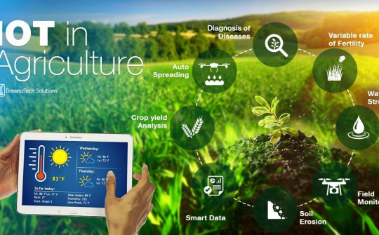 Chuyển đổi số trong xây dựng nông thôn mới hướng tới mô hình làng thông minh