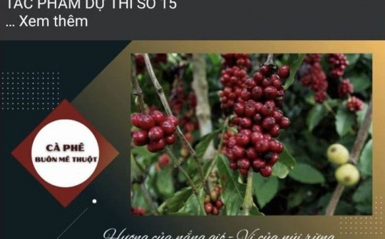 Đắk Lắk: Cuộc thi video clip giới thiệu về Cà phê Buôn Ma Thuột sẽ có 06 giải thưởng