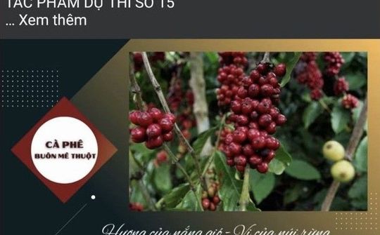 Đắk Lắk: Cuộc thi video clip giới thiệu về Cà phê Buôn Ma Thuột sẽ có 06 giải thưởng