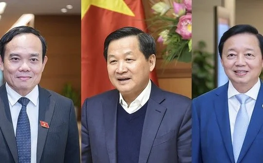 Phân công nhiệm vụ của các Phó Thủ tướng Chính phủ