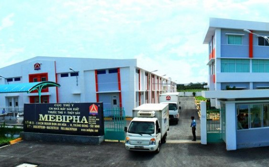 Mebipha: Hành trình 19 năm giúp đưa thực phẩm sạch từ trang trại đến bàn ăn