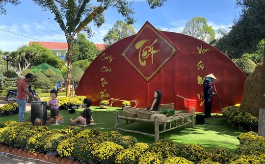 Đắk Lắk: Sắc Xuân rộn ràng trên mọi nẻo đường