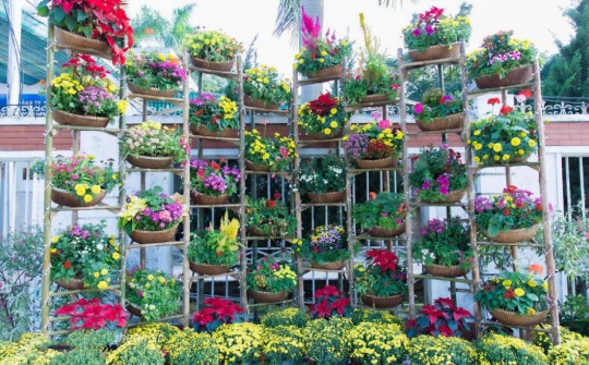 Nghệ An: Những hoạt động chào mừng Xuân Quý Mão 2023