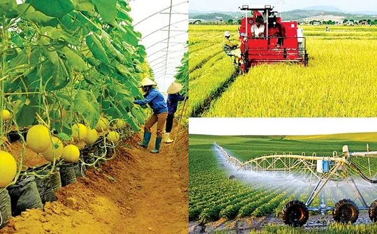 Chính sách về nhân sự, việc làm, tài chính có hiệu lực từ tháng 2/2023