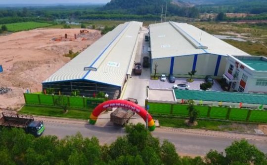 Quý Tiến – Chung tay giữ gìn màu xanh Việt