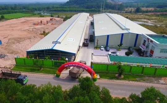 Quý Tiến – Chung tay giữ gìn màu xanh Việt